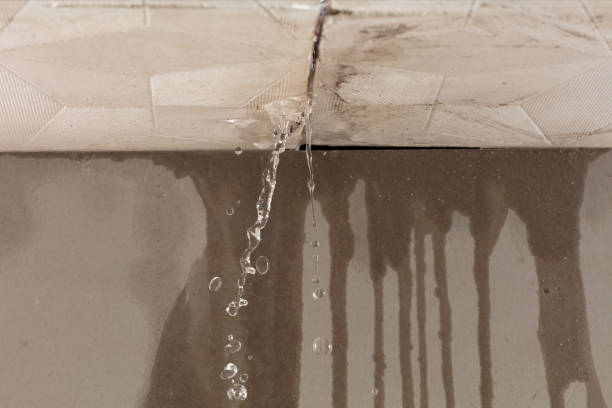 Professional Water Damage Inspection technician working in Brighton, IL